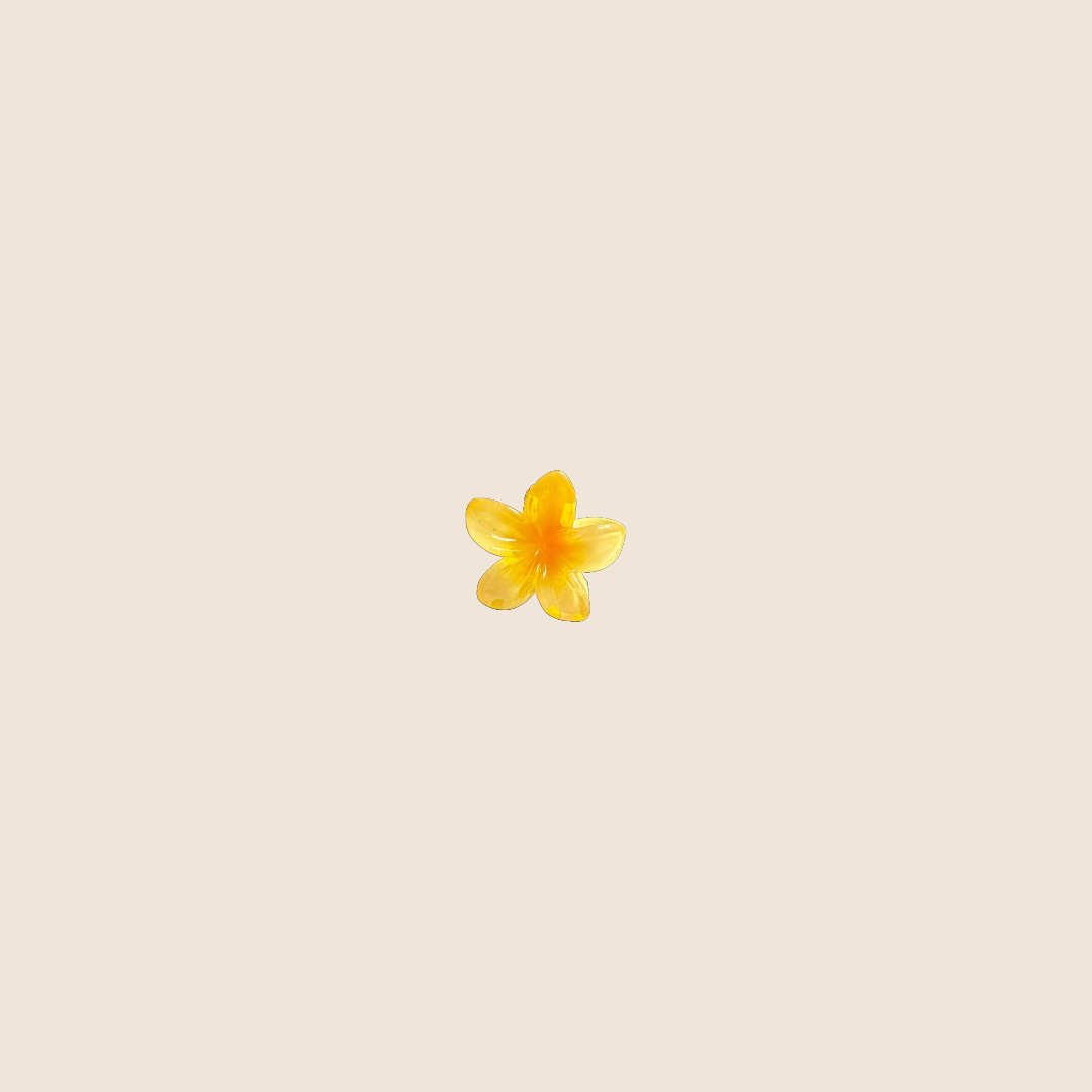 Mini flower hairclip