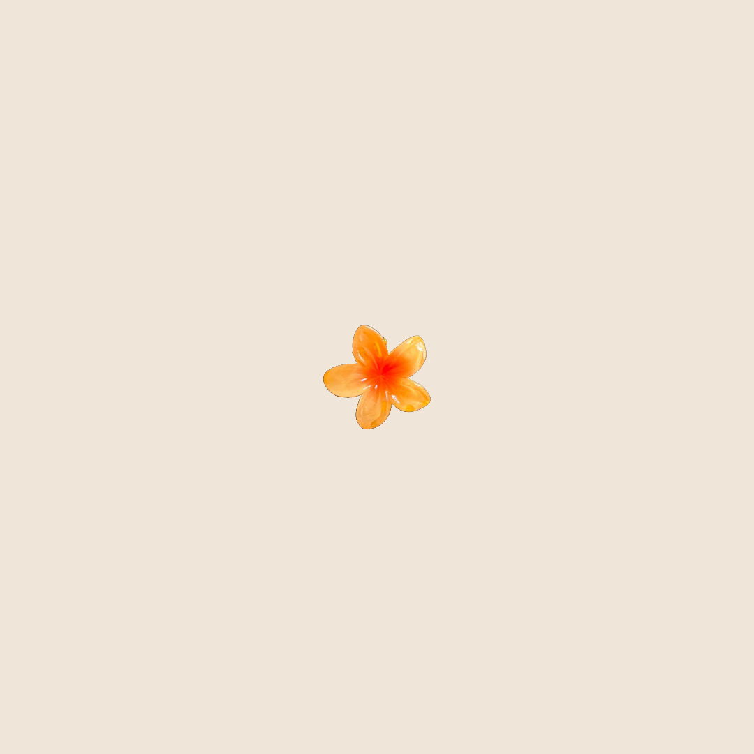 Mini flower hairclip