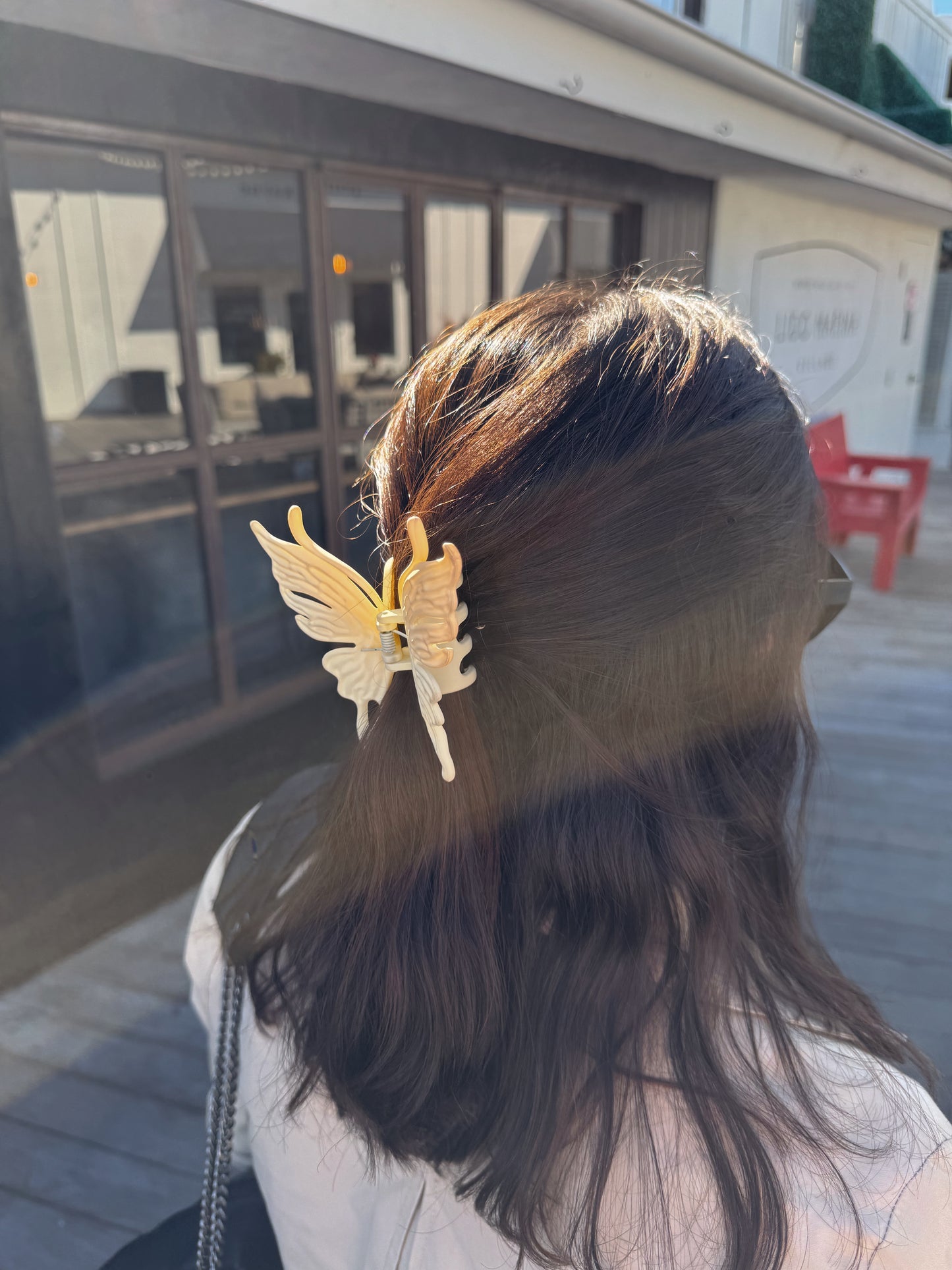 Classic butterfly Hair Clip