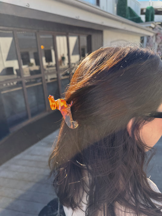 Ralph Hair Clip